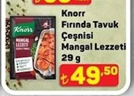 Knorr Fırında Tavuk Çeşnisi Mangal Lezzeti 29G