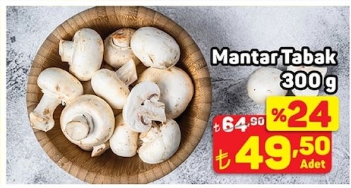 Mantar Tabak 300G