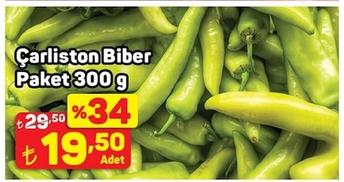 Charlston Biber Paket 300G