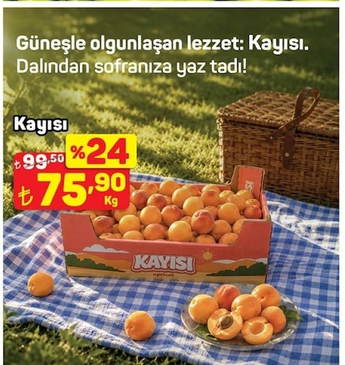 Kayısı Paketi 1Kg
