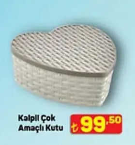 Kalpli Çok Amaçlı Kutu