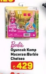 Barbie Oyuncak Kamp Macerası Barbie Chelsea