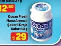 Ocean Fresh Nane Aromalı Şekerli Draje Sakız 60 G