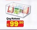 Cay Kutusu