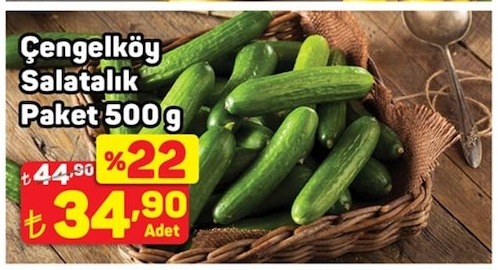 Çengelköy Salatalık Paket 500G