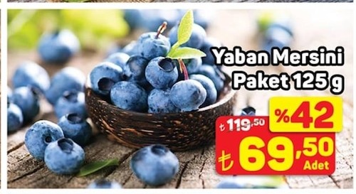 Yaban Mersini Paket 125G