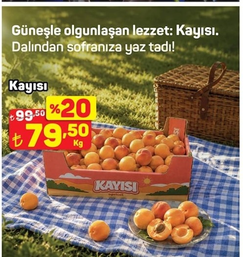 Kayısı Kg