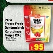 Pols Freeze Fresh Dondurularak Kurutulmuş Meyve 20 G