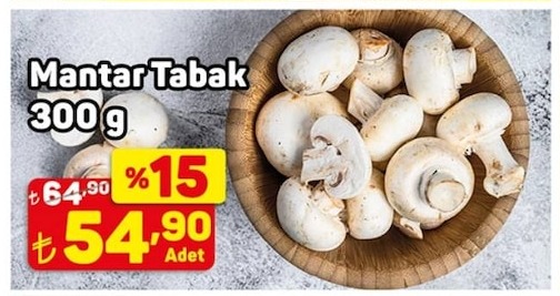 Mantar Tabak 300G