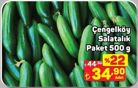 Çengelköy Salatalık Paket 500 G