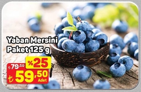 Yaban Mersini Paket 125 G