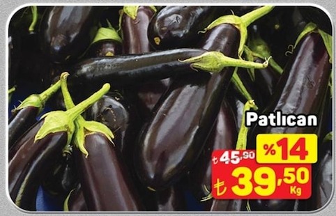 Patlican Kg