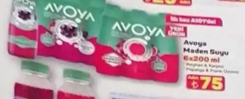 Avoya Maden Suyu 6X200 Ml
