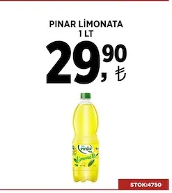 Pınar Limonata 1 Lt