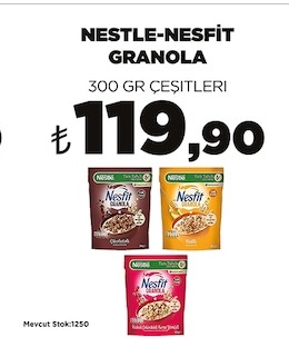 Nestle Nesfit Granola 300 Gr Çeşitleri