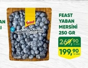 Feast Yaban Mersini 250 Gr