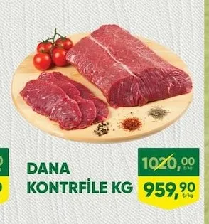 Dana Kontrfi̇Le Kg