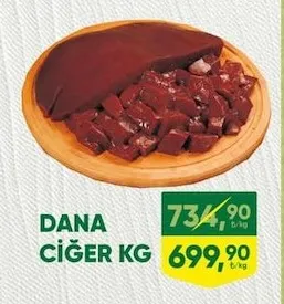 Dana Ci̇Ğer Kg