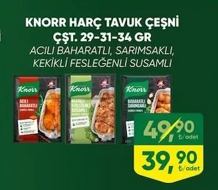 Knorr Harç Tavuk Çeşni Çşt. 29-31-34 Gr