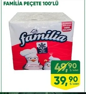 Familia Peçete 100'Lü