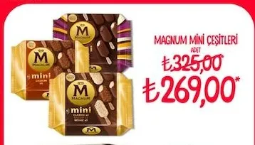 Magnum Mini Çeşitleri