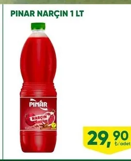 Pınar Narçın 1 Lt