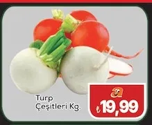 Turp Çeşitleri Kg.