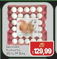 Sevindik Yumurta 30'Lu M Boy