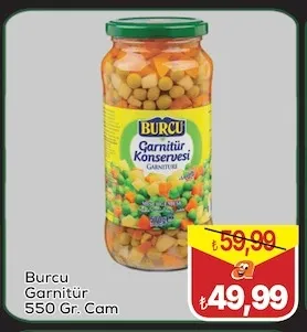 Burcu Garnitür 550 Gr. Cam