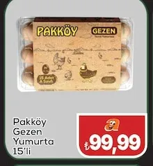 Pakköy Gezen Yumurta 15'Li