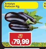 Antalya Patlıcan Kg.