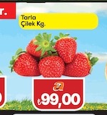 Tarla Çilek Kg.