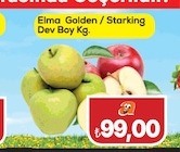 Elma Golden / Starking Dev Boy Kg.