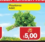 Maydanoz Adet