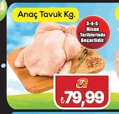 Anaç Tavuk Kg.