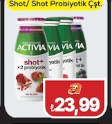 Shot/ Shot Probiyotik Çşt.