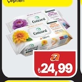 Concord Islak Mendil 120'Li