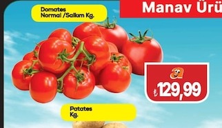 Domates Normal/Salkım Kg