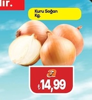 Kuru Soğan Kg.
