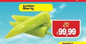 Çarliston Biber Kg.
