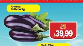 Antalya Patlıcan Kg