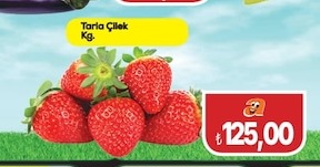 Tarla Çilek Kg