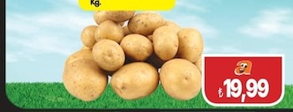Patates Kg