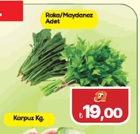 Roka/Maydanoz Adet