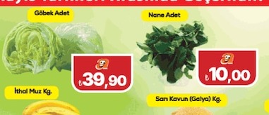 Göbek Marul Adet