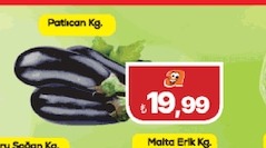 Patlıcan Kg.