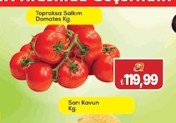 Topraksız Salkım Domates Kg.