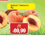 Şeftali / Nektarin Kg.
