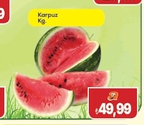 Karpuz Kg.
