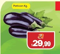 Patlıcan Kg.